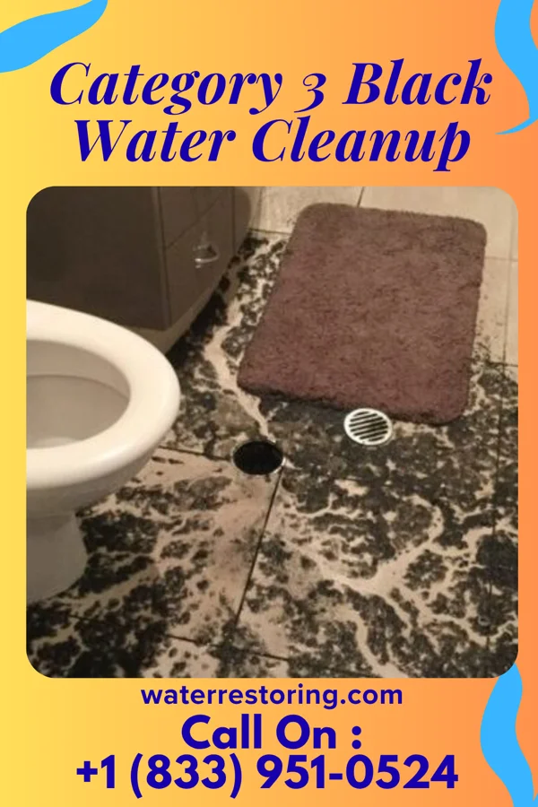 Category 3 Black Water Cleanup in San Luis, NM