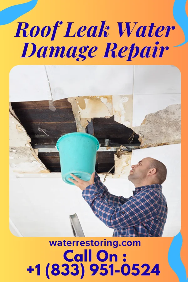 Roof Leak Water Damage Repair in San Luis, NM